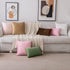 Pack 2 20x20 Inch EMEMA of Velvet Throw Pillow Covers Decorative Square Pillowcase Soft Solid Cushion Case for Sofa