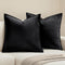 MIULEE Pack of 2 Decorative Velvet Throw Pillow Covers - Soft Black Square Cushion Case for Sofa, 18x18 Inch