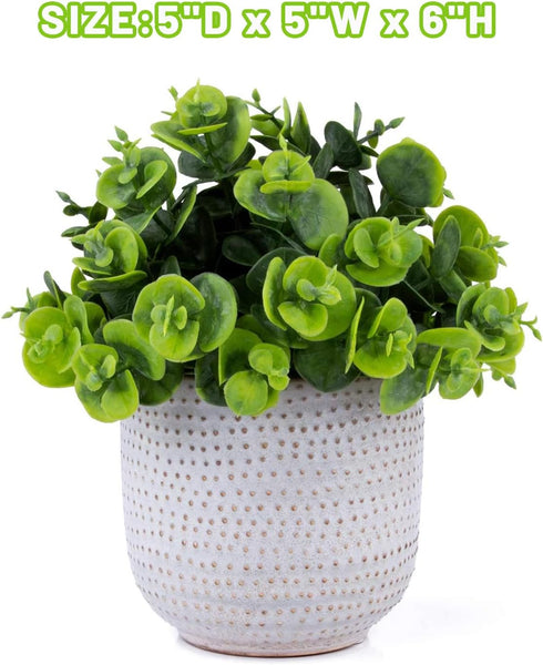 Artificial Lysimachia Plants in Ceramic Planter, Cute Fake Succulent Flowers for Home Office Table Desk Decor, Living