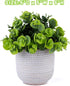 Artificial Lysimachia Plants in Ceramic Planter, Cute Fake Succulent Flowers for Home Office Table Desk Decor, Living