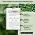 Pack Packets Sow Right Seeds - Cucumber Seed Collection for Planting - Pale Armenian, Pickling, Lemon, Beit Alpha