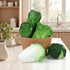 Set 5pcs Woration Green Artificial Vegetables Lifelike Lettuce Broccoli Cabbage PU Food Model Decoration for Home