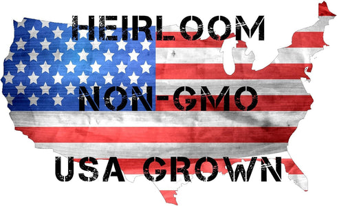 1000 Tendersweet Carrot Seeds for Planting - Heirloom, Non-GMO, USA Grown - by RDR Seeds
