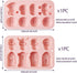 2Pcs Halloween Silicone Mold Skull Tomb Brain Fondant Molds for Gummy Jello Candy Chocolate Baking Decoration