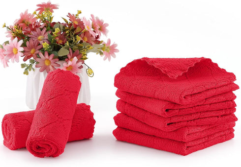 12 Pack (10 10 Inches, Homaxy Kitchen Dish Cloths x Red), Super Soft and Absorbent Coral Velvet Dish Towels, Nonstick