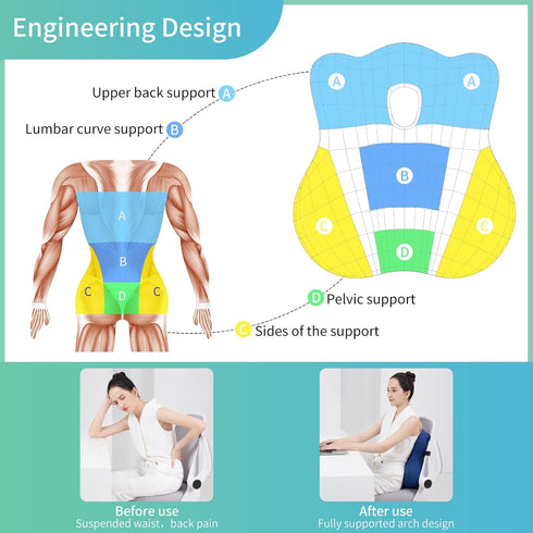 Lumbar Support Pillow for Chair Back Support Pillow for Couch Lumbar Pillow for Car Office Chair Back Cushion for Lower Back Pain Memory Foam Back Rest for Desk Chair, Recliner, Car Seats by seeknow