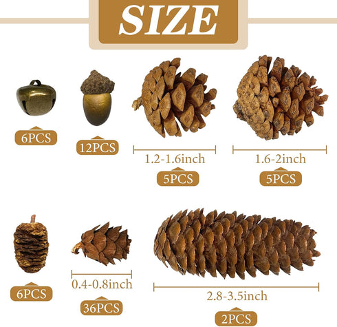 72Pcs Natural Pine Cone Set, Pinecones Acorns Ornaments for Autumn Winter Crafts, Christmas Decor, Bowl Vase Fillers