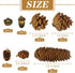 72Pcs Natural Pine Cone Set, Pinecones Acorns Ornaments for Autumn Winter Crafts, Christmas Decor, Bowl Vase Fillers