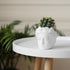 White Ceramic Face Planter Pots for Succulents - Unique Indoor Plant Planters with Drainage
