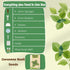 Herblink 8 Basil Seed Pods Kit Hydroponic - Refill Herb Pod for All Indoor Garden, Grow Pods with Seeds of Genovese