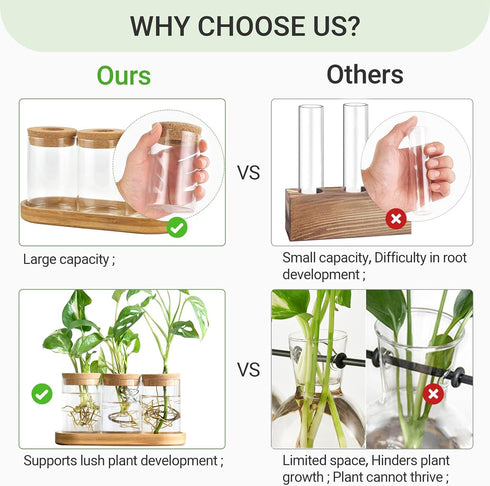 3 Dahey Plant Propagation Terrarium Desktop Glass Planter Station Water Planting Glass Vase with Lid and Wooden Stand