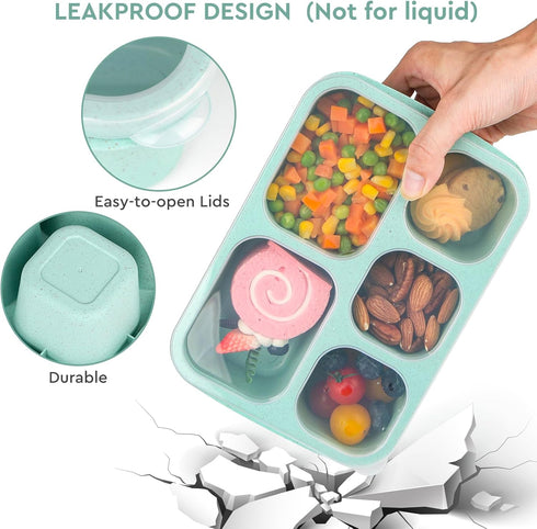 Bento Lunch Boxes, Reusable 5-Compartment Food Containers for Adults, Set of 4 (Wheat)