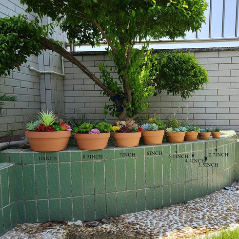 Yishang 4.4 Inch Shallow Terracotta Plant Pots, Ceramic Clay Cactus/Succulent Container with Drain Hole for