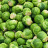 Axel's Garden Seeds Packets 1 Packet 250 Catskill Brussel Sprout Seeds for Planting Heirloom Non-GMO Brussel Sprout