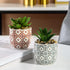 Artificial Plants Succulent Flowers in Ceramic Planter, 2 Pack Small Fake Plants for Home Office Desk Decor