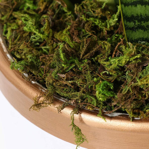 VOSAREA 1 Pack Artificial Moss Fake Lichen Simulation Green Faux Pot Moss for DIY Miniature House (About 60g)