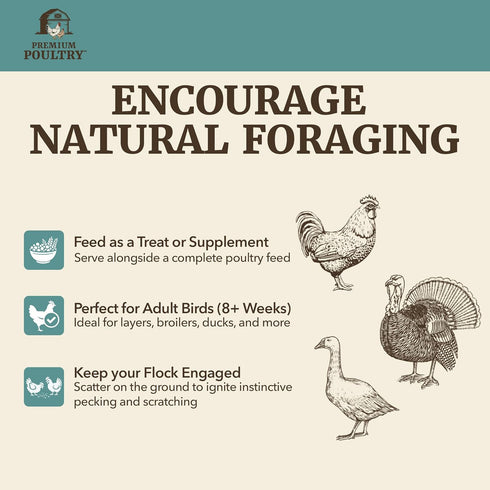 40 Scratch Grain for Adult Chickens, Ducks, and Turkeys, Vegetarian Mix of Three Grains, Training Aid & Natural