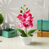 Artificial Phalaenopsis Flower Pot, Bonsai Ornament for Home Landscape Decor, White Flower for Beautiful Vitality