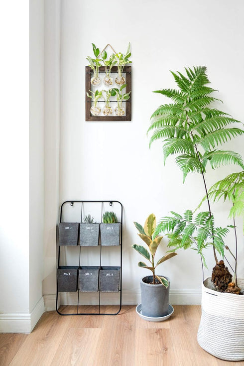 Bulb Mkono Propagation Station Wall Hanging Glass Planter, Flower Vase Plant Terrarium with Retro Wooden Stand Double
