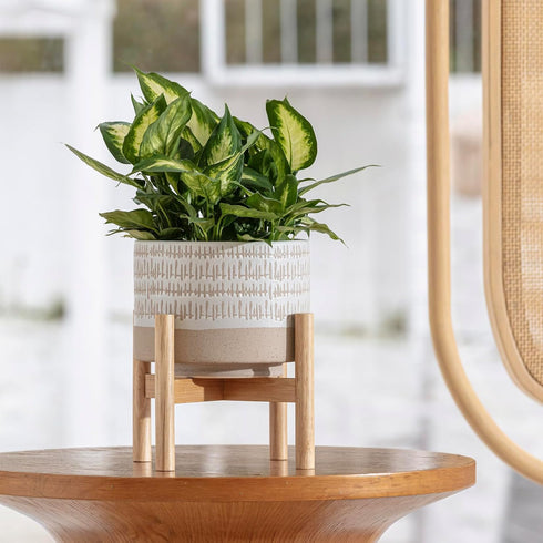 7.3 Inch LA JOLIE MUSE Ceramic Plant Pot with Stand - Decorative Cylinder Flower Pot with Wood Planter Holder