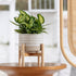 7.3 Inch LA JOLIE MUSE Ceramic Plant Pot with Stand - Decorative Cylinder Flower Pot with Wood Planter Holder