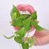 WHJY Sexy Lips Planter Pot, Pink Ceramic Succulent Planter