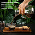 Pour Over Coffee Maker with Reusable Stainless Steel Filter, 27 oz Borosilicate Glass Carafe, Holds 4-6 Cups