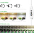 3.54" 6/12/16H 10 Dimmable Plants,2Head RWNTAO Ceiling Grow Light for Indoor Plants, Warm&White Full Spectrum Plant