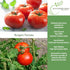 100+ Rutgers Tomato Seeds (Solanum lycopersicum) Non GMO & Heirloom Seeds, Balanced Flavor All Purpose Tomato Variety