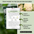Sow Right Seeds - Cauliflower Collection Seeds for Planting - Includes Non-GMO Heirloom Colorful Cauliflower