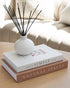 Set 2 Beautiful Decorative Books - of Boxes Enhance Your Coffee Table, Bookshelf or Mantel Shelf Decor - Aesthetic