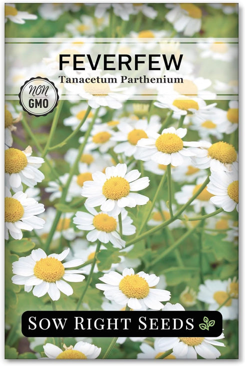 Sow Right Seeds - Feverfew Seeds for Planting - Non-GMO Heirloom Packet