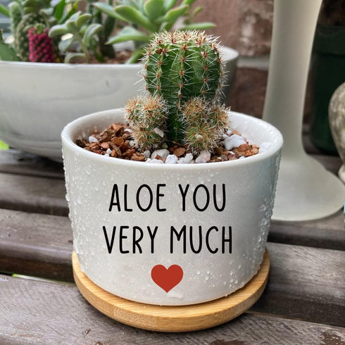 You Very Much - White Ceramic Engraved Mini Succulent Planter Pot | Funny Indoor Flower Pots for Home Office Windowsill
