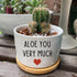 You Very Much - White Ceramic Engraved Mini Succulent Planter Pot | Funny Indoor Flower Pots for Home Office Windowsill