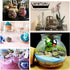 1PCS 500G/17oz Clear Empty Round Large Capacity Sealed Glass Bottles with Wood Cork Stopper for Storage