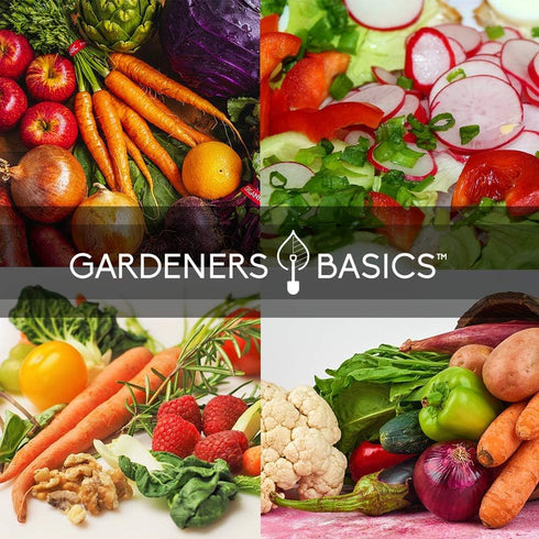 8 Gardeners Basics Winter, Fall, and Spring Vegetable Seeds for Planting | Cool Weather Crops | Varieties: Sugar Snap