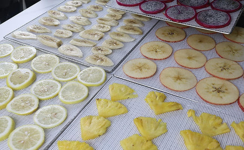 Mesh Dehydrator Sheets for COSORI, 10pcs Silicone Drying Sheets, 12x13 inch, Compatible with Chefman