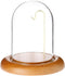 Plymor 3" x 4" Watch Glass Display Dome Cloche