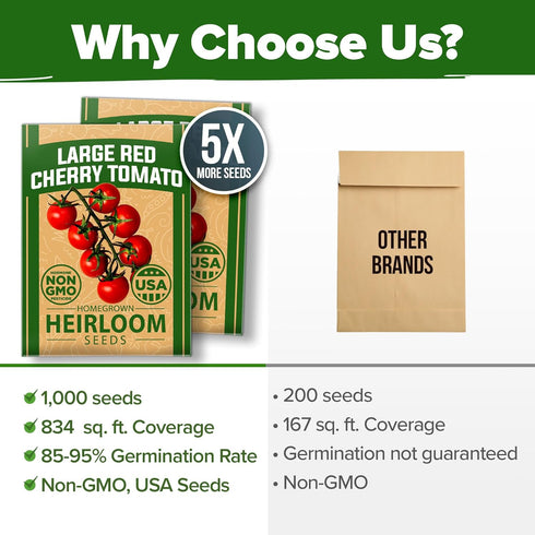 2 Pack Approx.1000 HOME GROWN Large Red Cherry Tomato Seeds (Solanum lycopersicum) - Non-GMO Heirloom Tomato Seeds