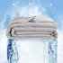 NTBAY Cooling Throw Blanket - Japanese Double-Sided Cold Tech Fabric for Dogs, Q-Max 0.43, 50x60 Inches, Light Grey