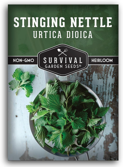 Stinging Nettle Seeds for Planting - Urtica Dioica Medicinal Herb & Edible