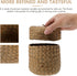 Housoutil Small Handwoven Seagrass Woven Basket with Lid, Natural Storage Box for Flower Pot, Garbage Can, Desktop