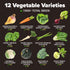 12 HOME GROWN Winter Vegetable Seeds Heirloom,Fall & Winter Vegetable Seeds for Planting Home Garden: Bean, Beet
