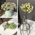 M2cbridge 12pcs) Artificial Berry Stems Christmas Picks Pine Needles Branches Wreath Ornament (Frost Green
