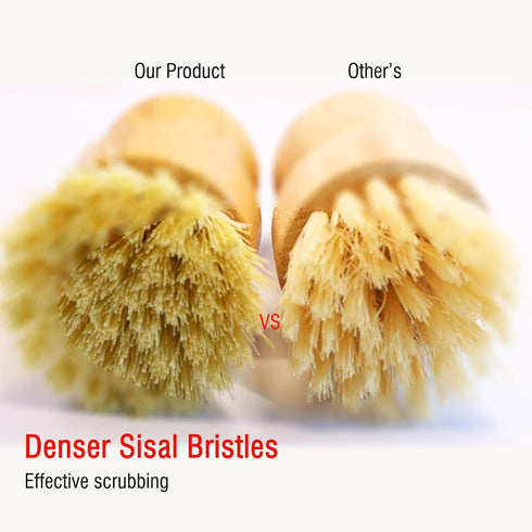 JouiiSiYa Set, Bamboo Vegetable Brush Natural Bristle Dish Brush with Holder, Eco Friendly Soft Dish Scrubber Kitchen
