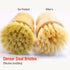 JouiiSiYa Set, Bamboo Vegetable Brush Natural Bristle Dish Brush with Holder, Eco Friendly Soft Dish Scrubber Kitchen
