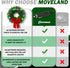 12V moveland LED Car Wreath with Remote Control - RGB Changeable Christmas Wreath for Car Grill - Fits Jeeps Trucks