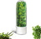 HVECT Herb Saver for Refrigerator, Herb Saver Pod Cilantro Containers for Refrigerator, Fresh
