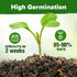 32 Pack HOME GROWN Herb Seeds Medicinal Herbs and Tea Variety Annual & Perennial Herb Seeds for Planting Indoors