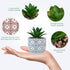 Artificial Plants Succulent Flowers in Ceramic Planter, 2 Pack Small Fake Plants for Home Office Desk Decor